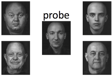 probe and references